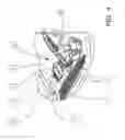 Fig. 05 - SURFACE-CLEANING MACHINE WITH ON-BOARD OPERATOR