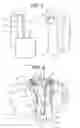 Fig. 04 - Slide fastener with separable bottom end stop