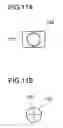 Fig. 12 - Syringe assembly device