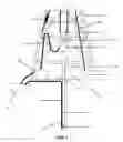 Fig. 02 - Weight sensor device