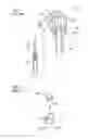Fig. 02 - Gearshift knob attaching structure for vehicle gearshift lever unit