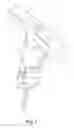 Fig. 02 - Universal ratcheting tool
