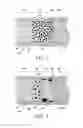 Fig. 03 - DEGRADABLE FILTER ELEMENT FOR SMOKING ARTICLE