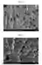 Fig. 03 - METAL PASTE COMPOSITION FOR FORMING ELECTRODE AND SILVER-CARBON COMPOSITE ELECTRODE AND SILICON SOLAR CELL USING THE SAME