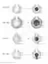 Fig. 08 - Substrate for suspension, and production process thereof