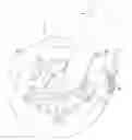 Fig. 01 - Bicycle brake pad