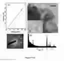 Fig. 08 - ELECTROCHEMICAL DEPOSITION PLATFORM FOR NANOSTRUCTURE FABRICATION