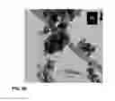 Fig. 08 - Nanocomposite based biosensors and related methods
