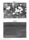 Fig. 02 - Nanoporous films and method for manufacturing the same