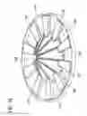 Fig. 32 - PACKAGING FOR POWDERED BEVERAGE AND DISPENSER THEREFOR