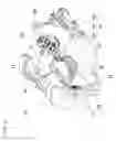 Fig. 08 - Magnifying observation apparatus