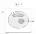 Fig. 07 - Treatment planning system, device for calculating a scanning path and particle therapy system