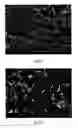 Fig. 06 - Method for manufacturing conductive adhesive containing one-dimensional conductive nanomaterial