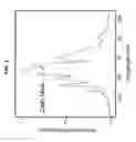 Fig. 04 - Flexible microcavities through spin coating