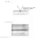 Fig. 21 - Method for fabricating semiconductor thin film using substrate irradiated with focused light, apparatus for fabricating semiconductor thin film using substrate irradiated with focused light, method for selectively growing semiconductor thin film using substrate irradiated with focused light, and semiconductor element using substrate irradiated with focused light