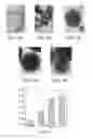 Fig. 04 - Making nanocrystalline mesoporous spherical particles