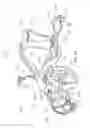 Fig. 08 - Tricycle with front and rear steering