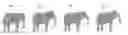 Fig. 01 - Security Document Comprising At Least One Combined Image and A Revelation Means, and Associated Method