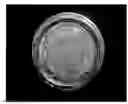 Fig. 01 - Surface Modified Optically Variable Product for Security Feature