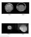 Fig. 02 - Surface Modified Optically Variable Product for Security Feature