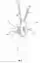 Fig. 08 - WIND ENERGY SYSTEM
