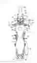 Fig. 03 - Light emitting diode lighting circuit of saddle-ride-type vehicle