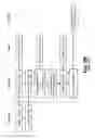 Fig. 07 - Method for image rendering in a computer network