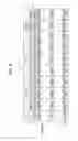 Fig. 09 - ELECTRO-OPTICAL DEVICE, IMAGE PROCESSING CIRCUIT, AND ELECTRONIC DEVICE