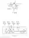 Fig. 03 - IMAGE FORMING APPARATUS AND METHOD OF THE SAME