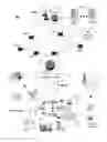 Fig. 01 - Method and apparatus for delivering media content