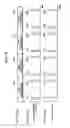 Fig. 17 - DISPLAY DEVICE AND VIDEO SYSTEM