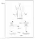 Fig. 01 - 3D graphic insertion for live action stereoscopic video
