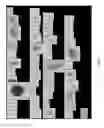 Fig. 08 - SYSTEM AND METHOD FOR SWEEPING MIRROR ENHANCED IMAGING FLOW CYTOMETRY