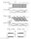 Fig. 08 - Image pickup apparatus for acquiring a plurality of viewpoint images