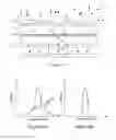 Fig. 08 - Multi-view display