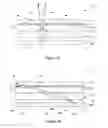 Fig. 12 - Multi-view display