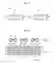 Fig. 05 - Stereoscopic image display device and driving method thereof