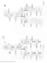 Fig. 17 - Pixels having polarity extension regions for multi-domain vertical alignment liquid crystal displays