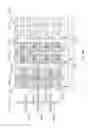 Fig. 43 - Pixels having polarity extension regions for multi-domain vertical alignment liquid crystal displays