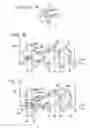 Fig. 06 - Characterization of retinal parameters by circular profile analysis