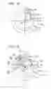 Fig. 09 - Characterization of retinal parameters by circular profile analysis