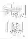 Fig. 02 - Optoelectronic apparatus for gas analysis and method
