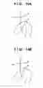 Fig. 15 - Coordinate input apparatus, light receiving apparatus of the coordinate input apparatus, and manufacturing method of the same