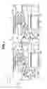 Fig. 02 - Image forming apparatus