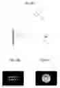 Fig. 15 - HOLOGRAM RECORDING MEDIUM AND METHOD FOR MANUFACTURING THE SAME, HOLOGRAM REPRODUCTION APPARATUS, AND HOLOGRAM REPRODUCTION METHOD