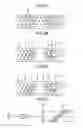 Fig. 29 - HOLOGRAM RECORDING MEDIUM AND METHOD FOR MANUFACTURING THE SAME, HOLOGRAM REPRODUCTION APPARATUS, AND HOLOGRAM REPRODUCTION METHOD