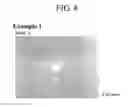Fig. 04 - Light-transmitting member
