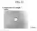Fig. 22 - Light-transmitting member