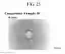 Fig. 25 - Light-transmitting member