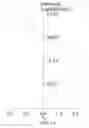 Fig. 15 - Three-piece optical pickup lens